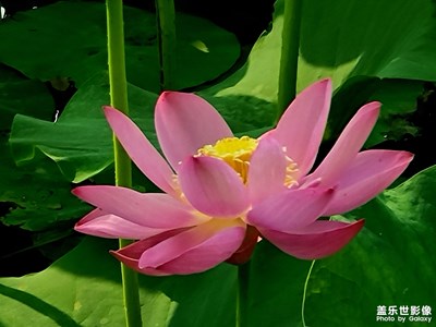 【夏日色彩】+五彩缤纷