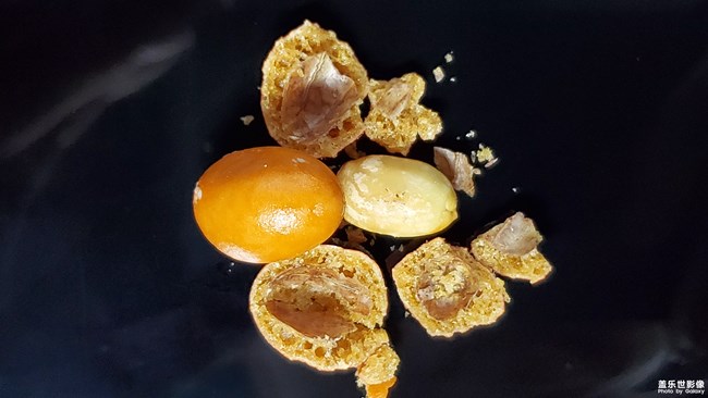 儿时的记忆【鱼蛋蛋】又叫鱼皮花生米