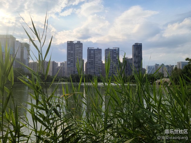 城市中央公园游记