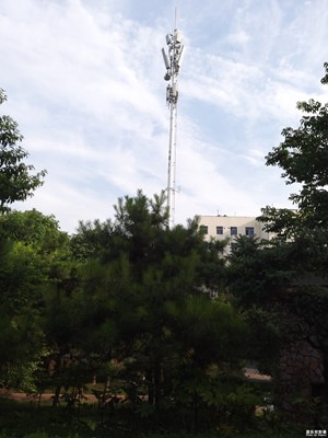 【夏日色彩】+绿树蓝天