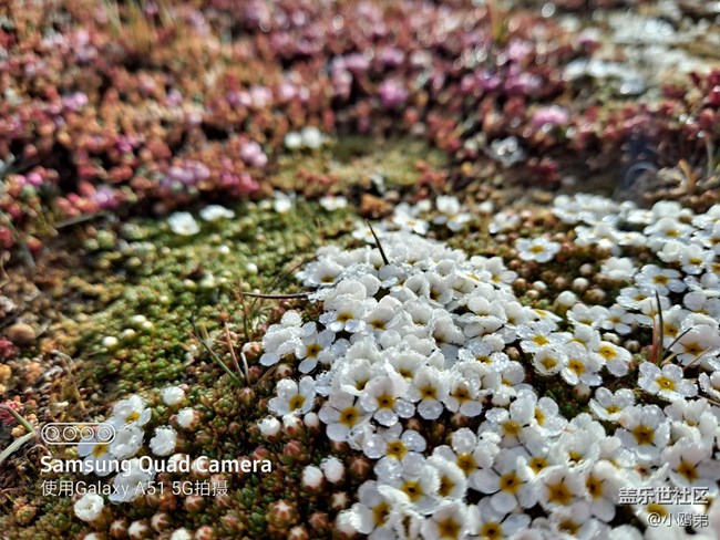 【Galaxy A51 5G星粉体验活动】不平凡的轻旗舰