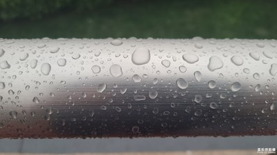 雨中细节三星S20+拍摄