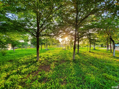 心怀怡静  处处皆风景~