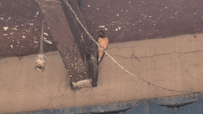 20200705_124755_1.gif