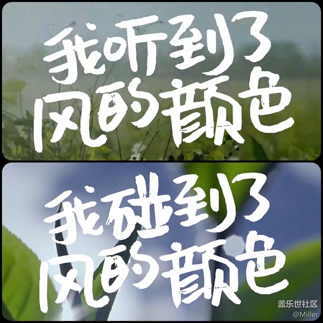 W20 5G 经典旗舰 全新形态 独领精英风尚