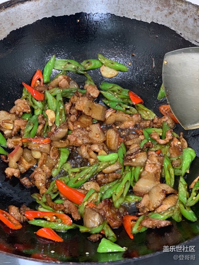 【学做家常菜】自学特能下饭的辣椒炒肉 【学做家常菜】自学特能下饭的辣椒炒肉