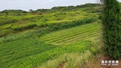 到乡下采样土壤