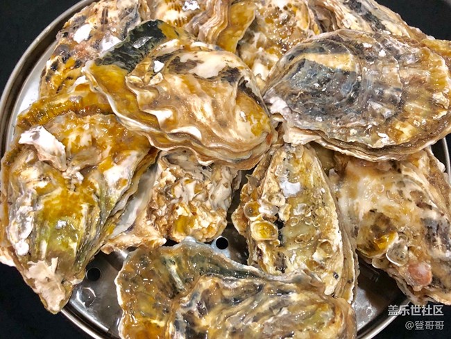 【午夜饕餮】半夜拉仇恨的蒜蓉生蚝