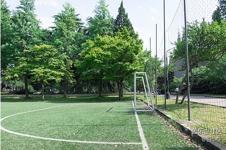 已开奖A板块七月第三期板块活动——盛夏的果实