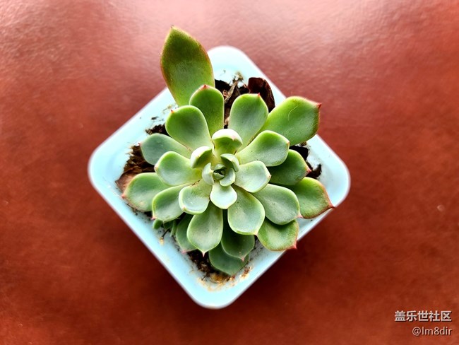 三星S20 Ultra评测：1.08亿像素拍出精彩的世界