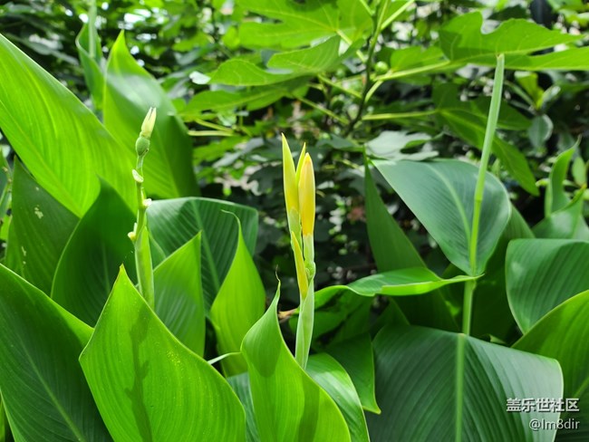 三星S20 Ultra评测：1.08亿像素拍出精彩的世界