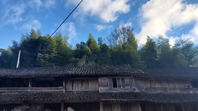 青山绿水
