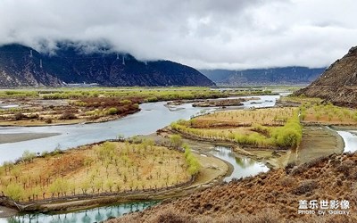 雅尼湿地掠影