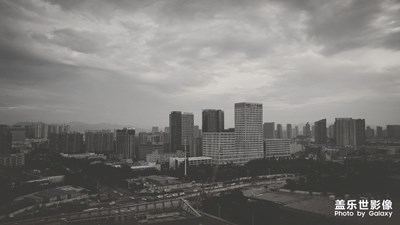 八月七日