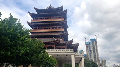 一些随手拍的杂片