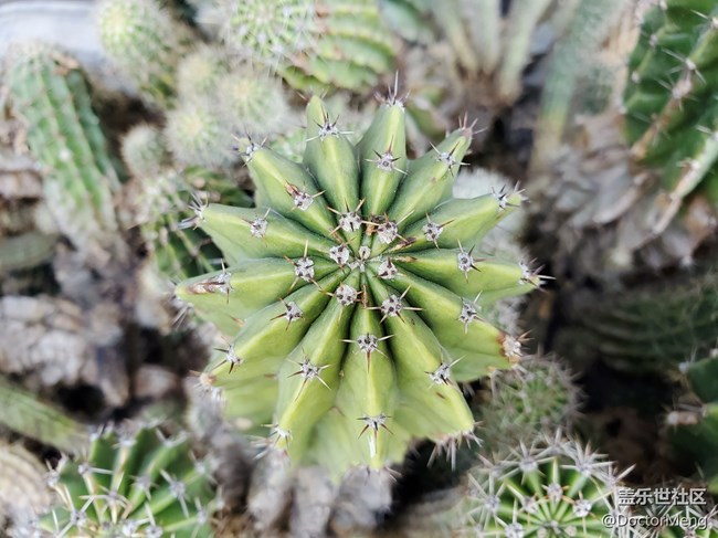 【Galaxy A71 5G评测活动】Note20亲弟弟就是你？