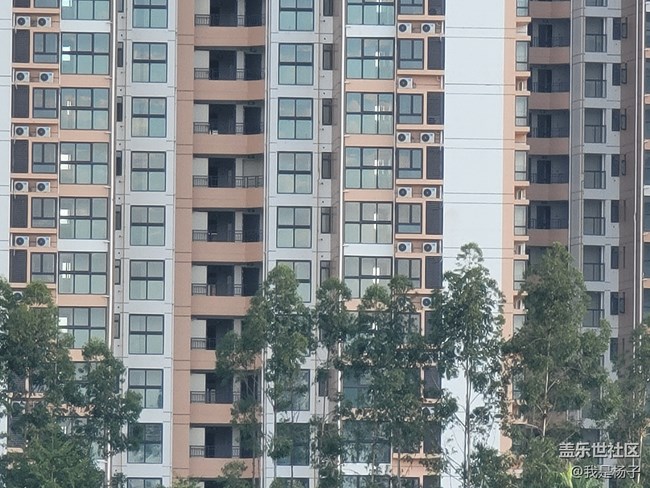 随手一拍就是大片—三星Galaxy Note20 Ultra摄影评测