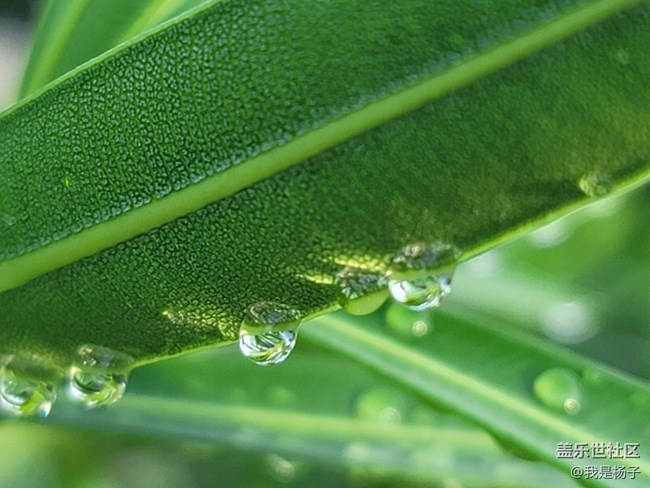 随手一拍就是大片—三星Galaxy Note20 Ultra摄影评测