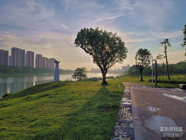 随手一拍就是大片—三星Galaxy Note20 Ultra摄影评测