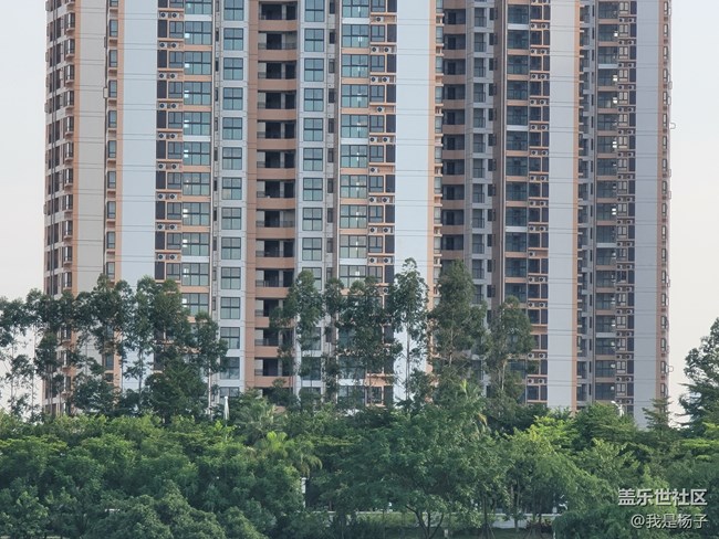 随手一拍就是大片—三星Galaxy Note20 Ultra摄影评测