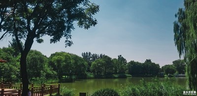 已开奖【盖乐世影像周赛第155期】——发现生活发现美