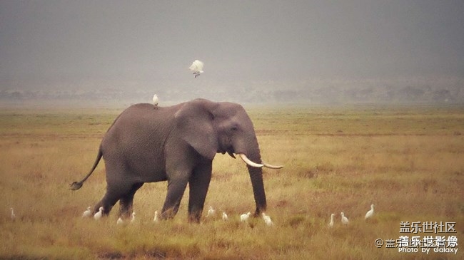 《每周星鲜事》第38期：星鲜创造营第三期开营 期待你的加入