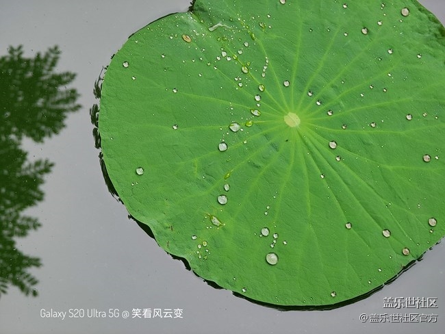 《每周星鲜事》第38期：星鲜创造营第三期开营 期待你的加入