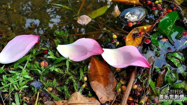 《每周星鲜事》第38期：星鲜创造营第三期开营 期待你的加入