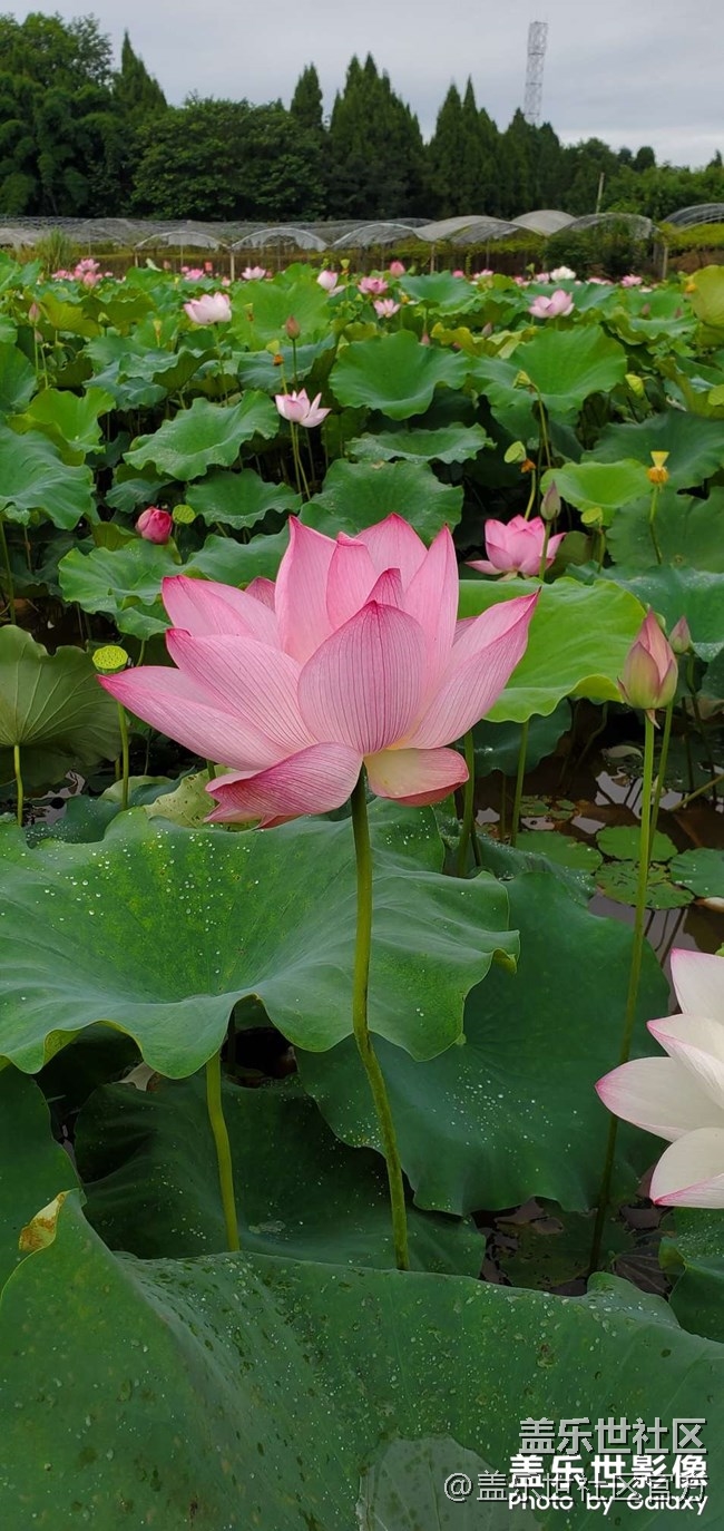 《每周星鲜事》第38期：星鲜创造营第三期开营 期待你的加入