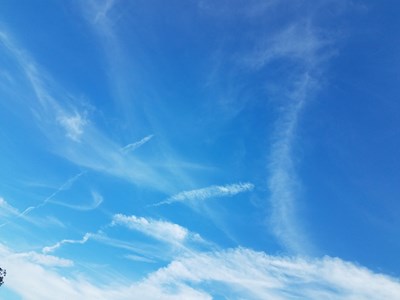 【初秋印象】+溜达随拍