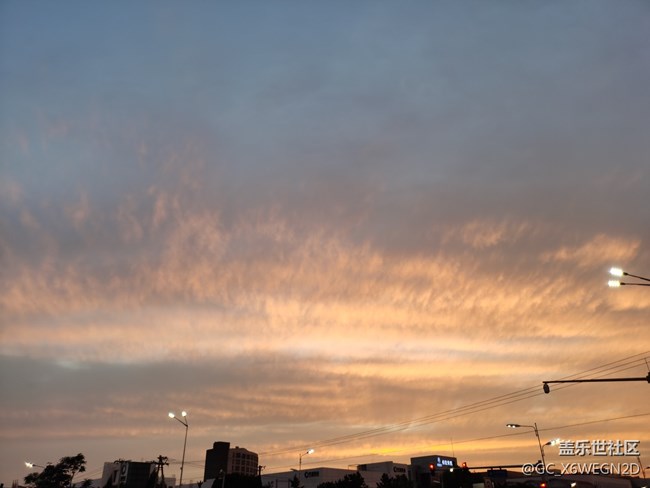 【我的七夕生活】+公园随拍
