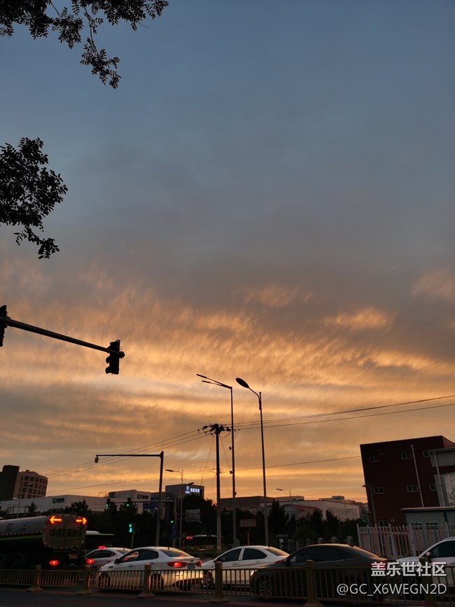 【我的七夕生活】+公园随拍