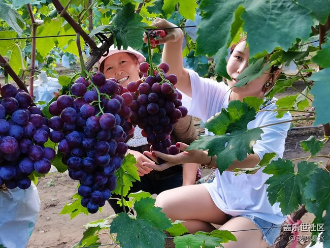 【我的七夕生活】我的炫富时刻做个幸福的人生活与快乐都在