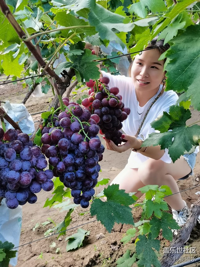 【我的七夕生活】我的炫富时刻做个幸福的人生活与快乐都在