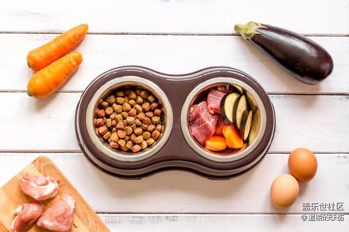 已开奖【9月宠物活动第一期】家中宠物的伙食