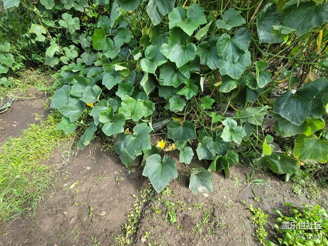 Note 20 Ultra 5G 使用简评