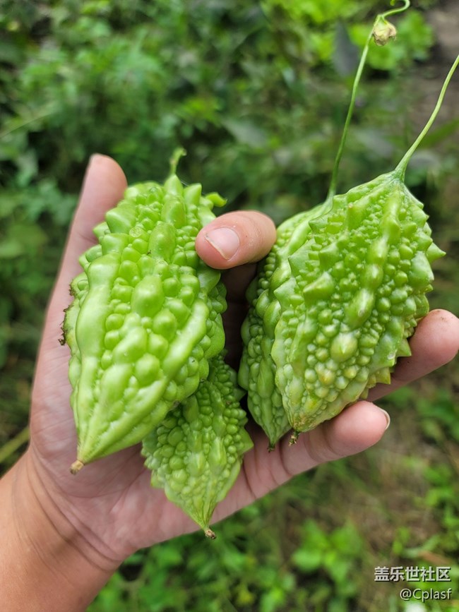 Note 20 Ultra 5G 使用简评