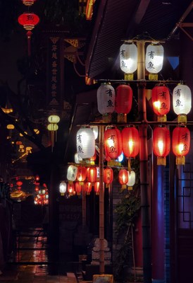 眉山也能看见长安花