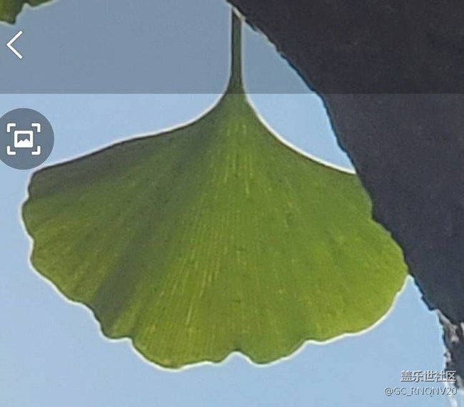 能否优化一下note20U拍照或者录像时不要再描边了，点开有图