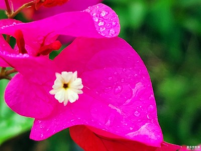 【美好速记】+雨后的清新