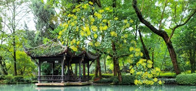 斜插一支花簪