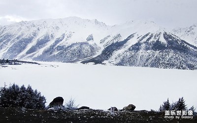高原雪