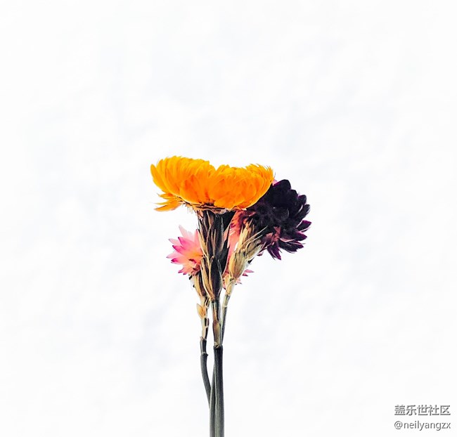 把未來折起放手上（Samsungalaxy Z Fold2 5G上手半月体验）