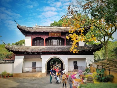 【身边的美好】+菊花展