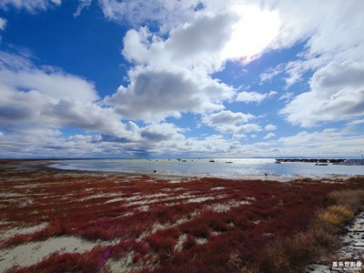 达里湖