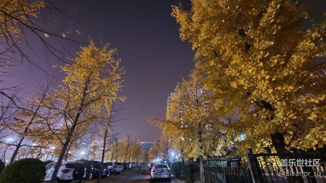 Galaxy S20 FE 5G 夜间模式: 来, 让我照亮你的黑夜