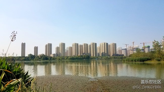 陶冲湖畔
