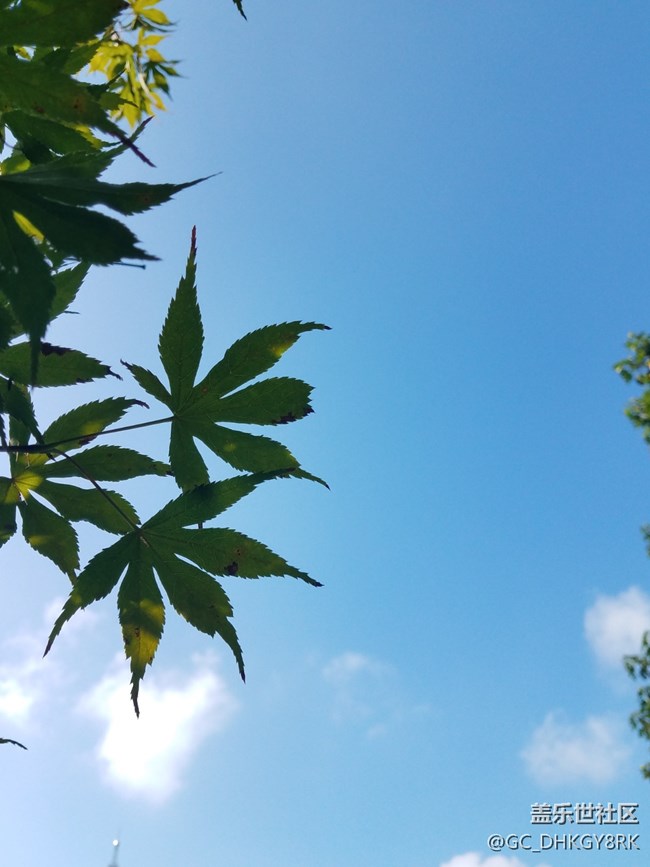 银河公园