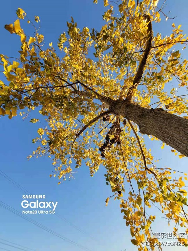【Galaxy Note20星粉体验团】尊贵奢华有内涵