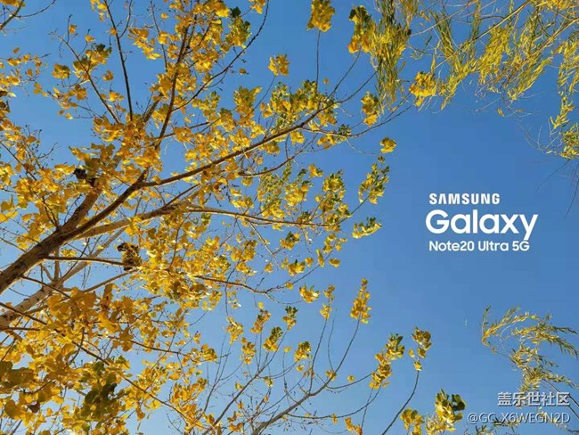 【Galaxy Note20星粉体验团】尊贵奢华有内涵